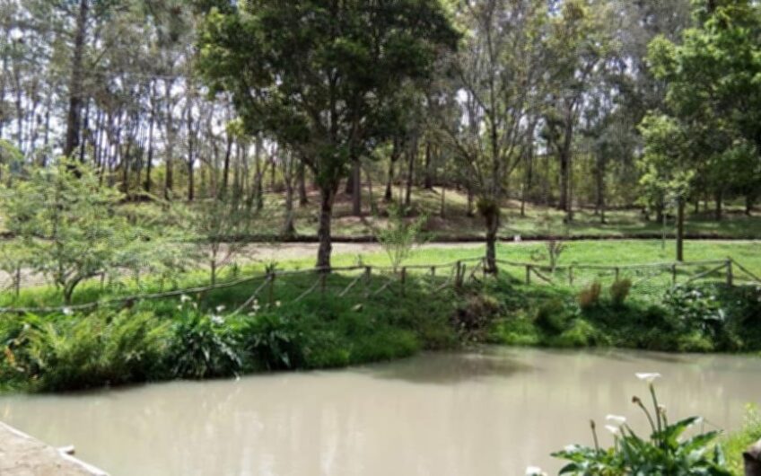 VENTA DE SOLARES (LOTES) EN LA ESPERANZA INTIBUCA HONDURAS Venta de