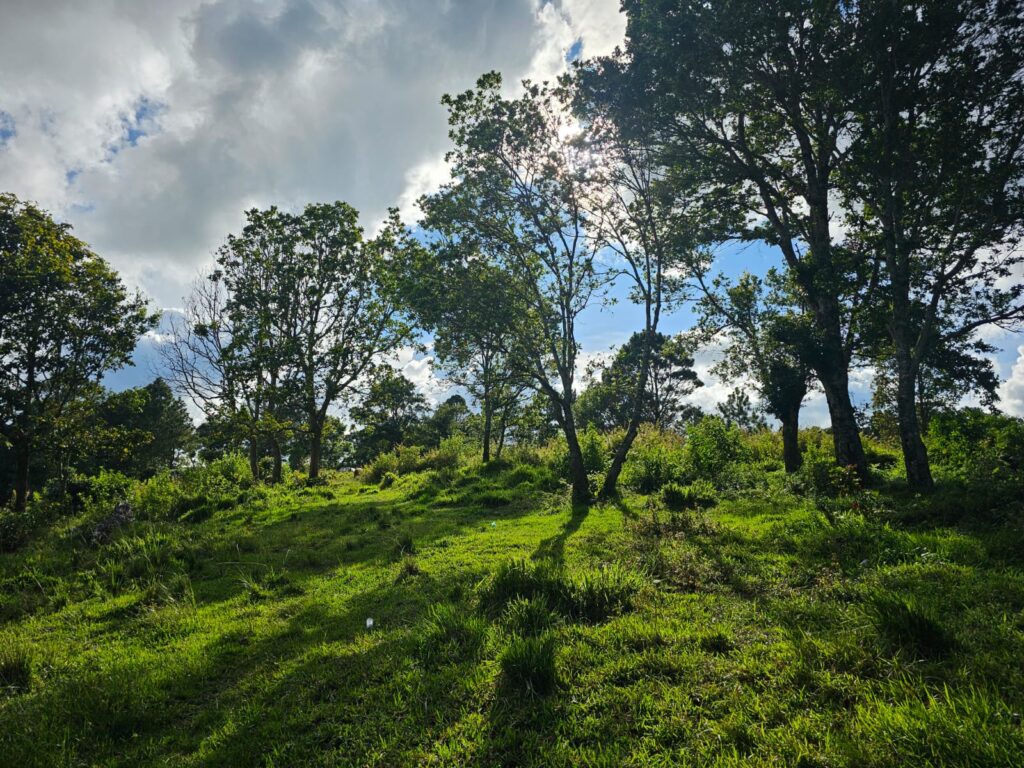 Venta de terrrenos en yamaranguila Intibucá 2024 2025