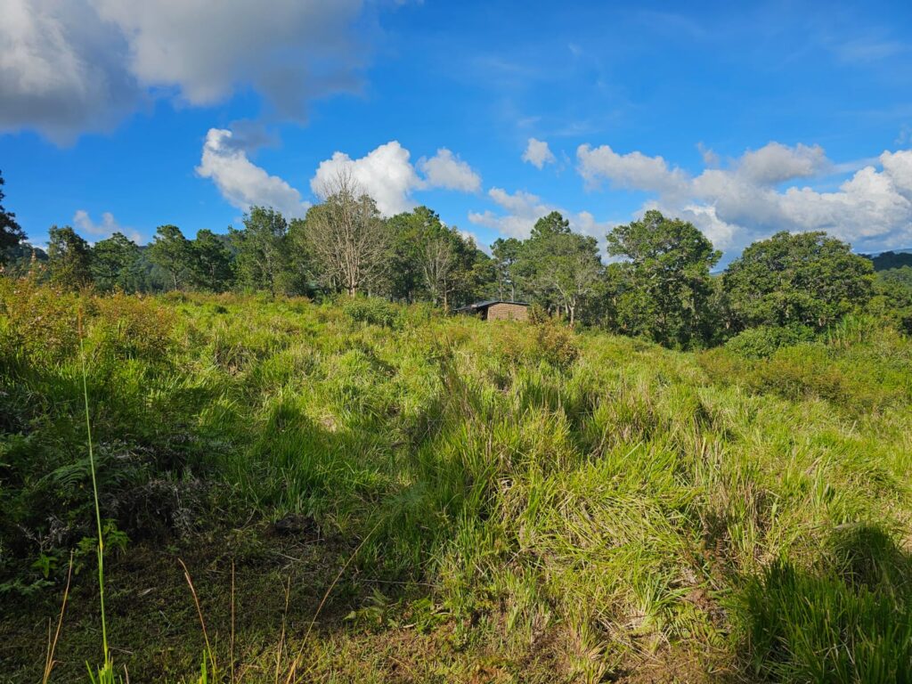 Venta de terrrenos en yamaranguila Intibucá 2024 2025