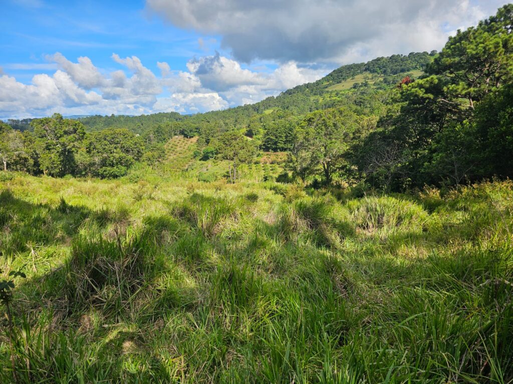 Venta de terrrenos en yamaranguila Intibucá 2024 2025