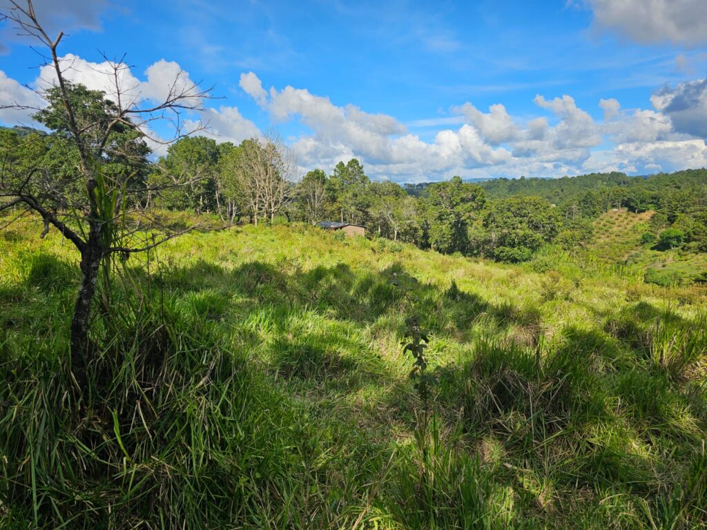 Venta de terrrenos en yamaranguila Intibucá 2024 2025