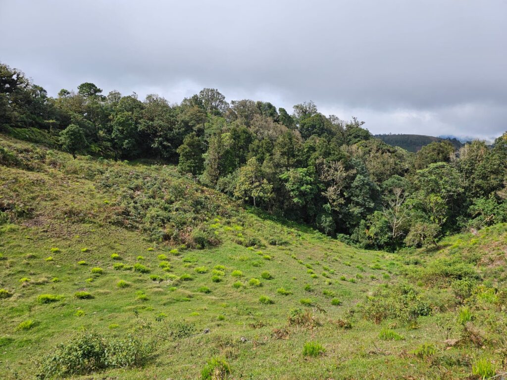 VENTA DE TERRENOS EN YAMARANGUILA INTIBUCÁ 2025 2026