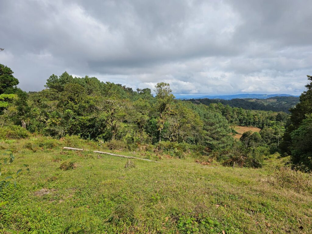 VENTA DE TERRENOS EN YAMARANGUILA INTIBUCÁ 2025 2026