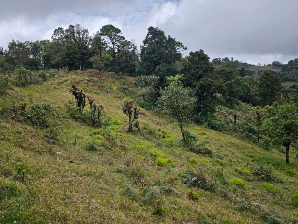 VENTA DE TERRENOS EN YAMARANGUILA INTIBUCÁ 2025 2026