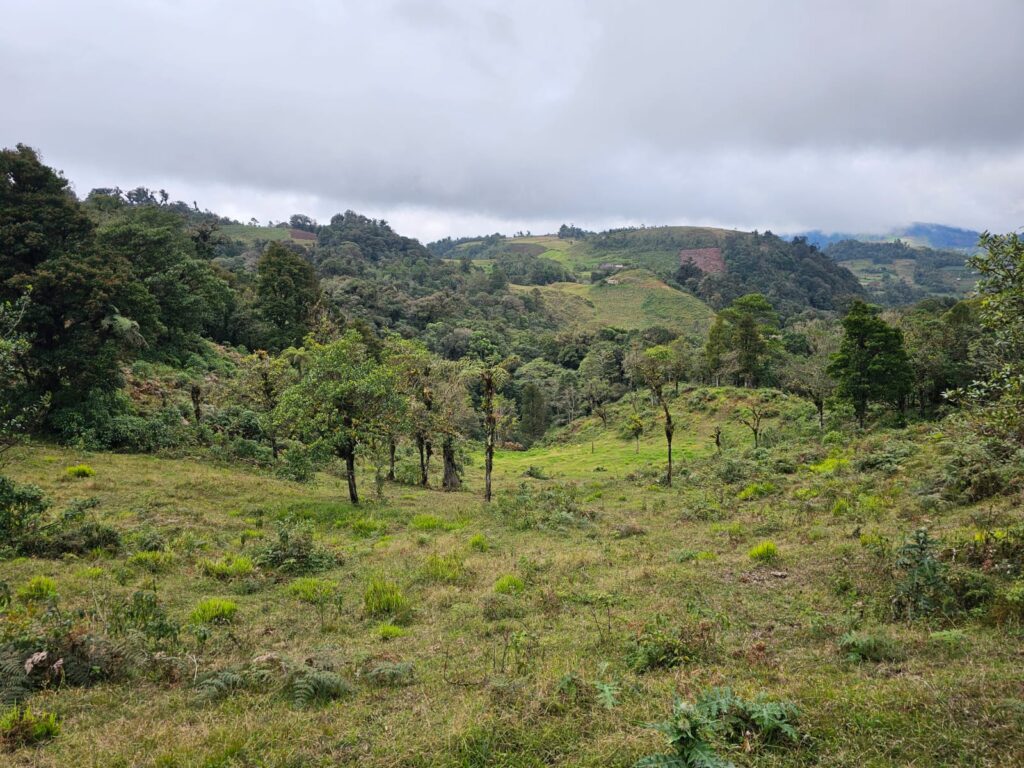 VENTA DE TERRENOS EN YAMARANGUILA INTIBUCÁ 2025 2026