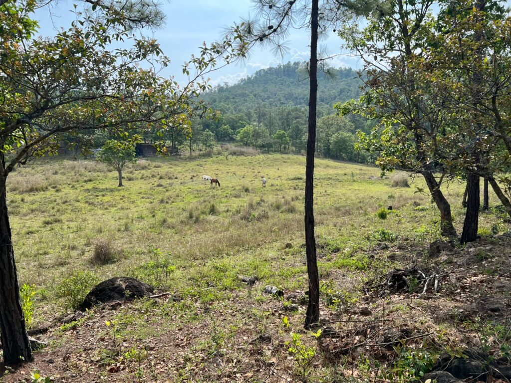 Venta de terreno en yamaranguila, intibuca 2025 2026