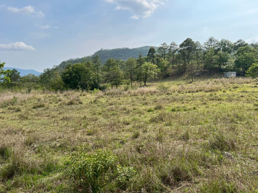 Venta de terreno en yamaranguila, intibuca 2025 2026