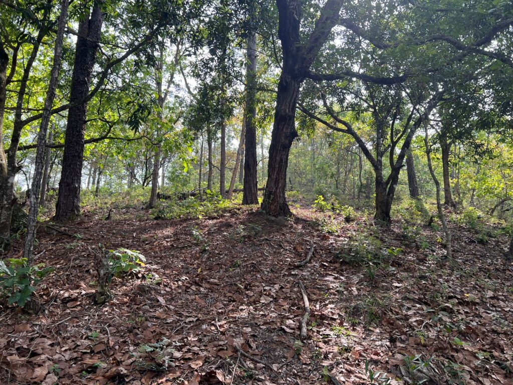 Venta de terreno en yamaranguila, intibuca 2025 2026