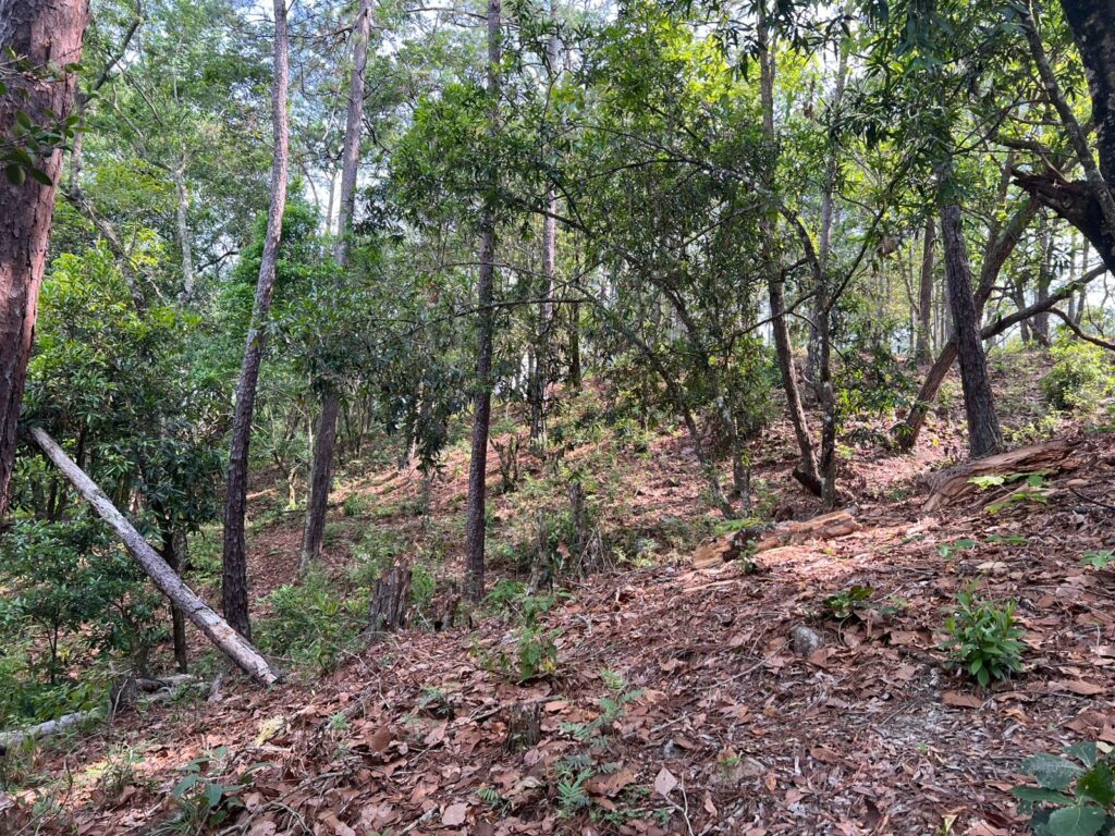 Venta de terreno en yamaranguila, intibuca 2025 2026