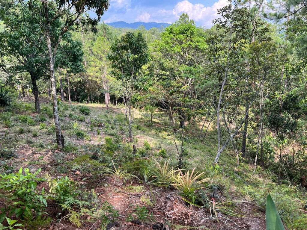 Venta de terreno en yamaranguila, intibuca 2025 2026