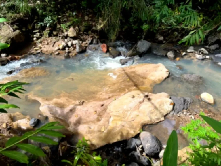 Terreno en Venta 4.2 Manzanas Jesús de Otoro Intibucá – Los Alpes
