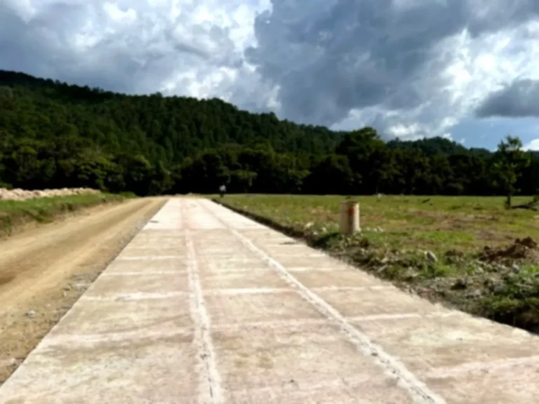 Lotes de Terreno en Venta en Residencial Los Helechos: Tu Oportunidad de Inversión y Vida Tranquila