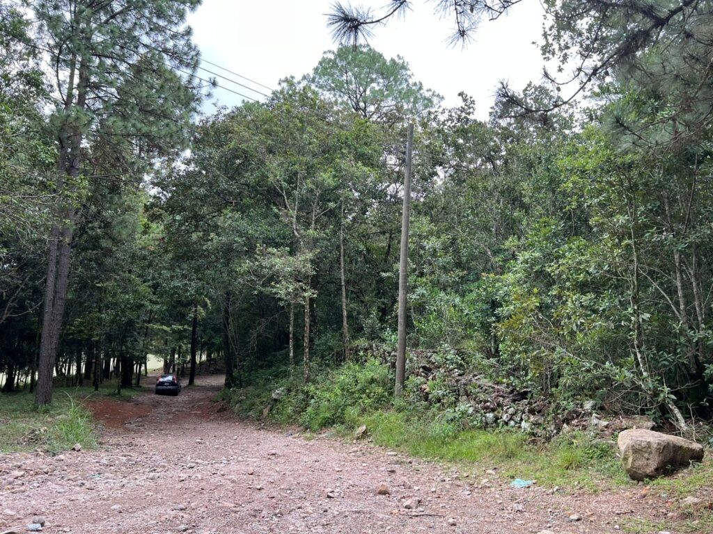 Venta de terrenos en lempira honduras, venta de terrenos en san juan intibuca, venta de terrenos en erandique lempira