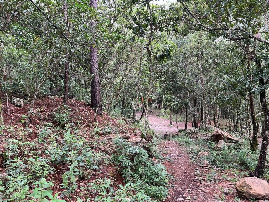 Venta de terrenos en lempira honduras, venta de terrenos en san juan intibuca, venta de terrenos en erandique lempira