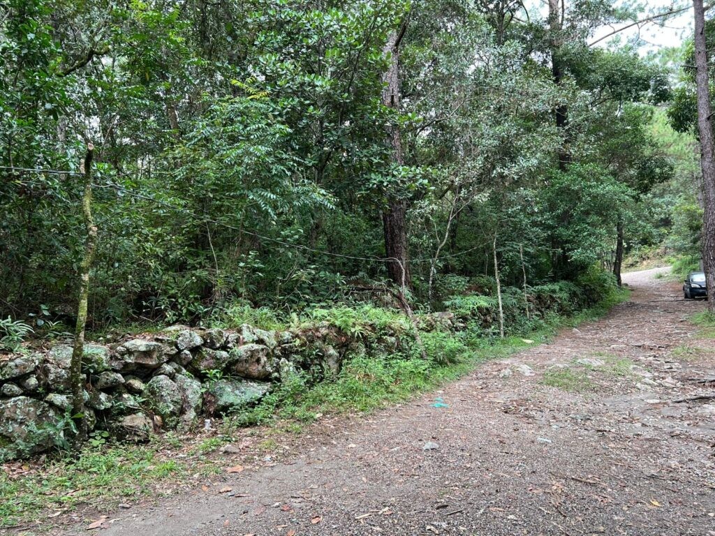 Venta de terrenos en lempira honduras, venta de terrenos en san juan intibuca, venta de terrenos en erandique lempira