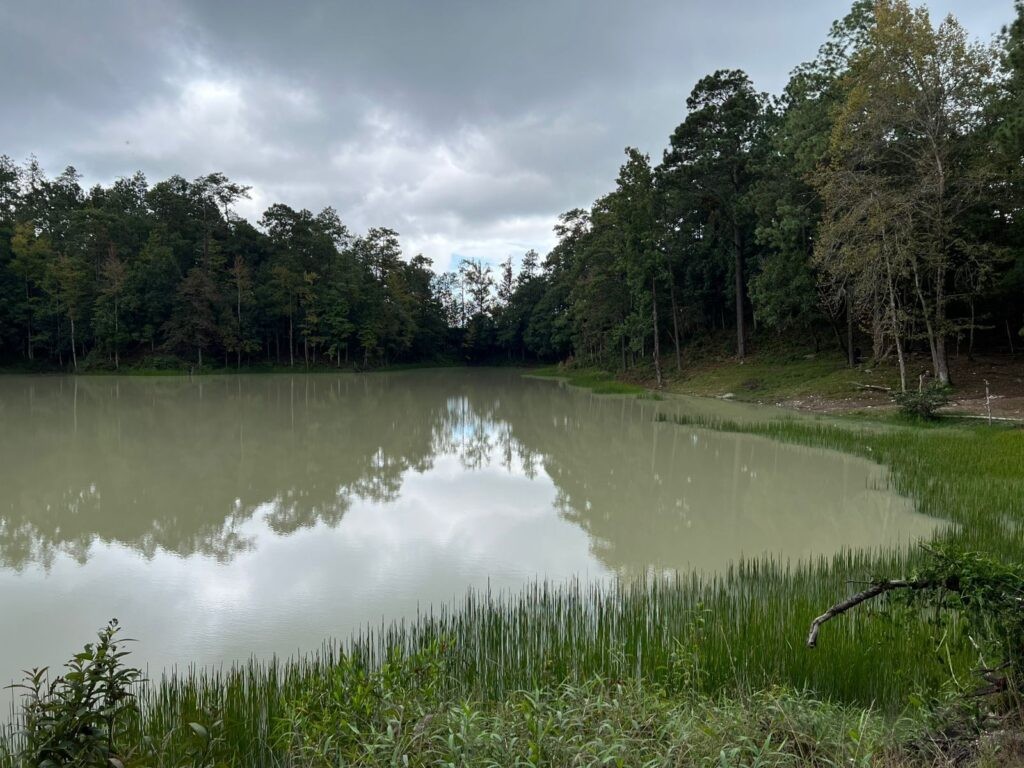 Venta de terrenos en lempira honduras, venta de terrenos en san juan intibuca, venta de terrenos en erandique lempira