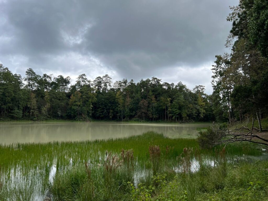 Venta de terrenos en lempira honduras, venta de terrenos en san juan intibuca, venta de terrenos en erandique lempira