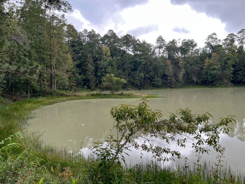 Venta de terrenos en lempira honduras, venta de terrenos en san juan intibuca, venta de terrenos en erandique lempira