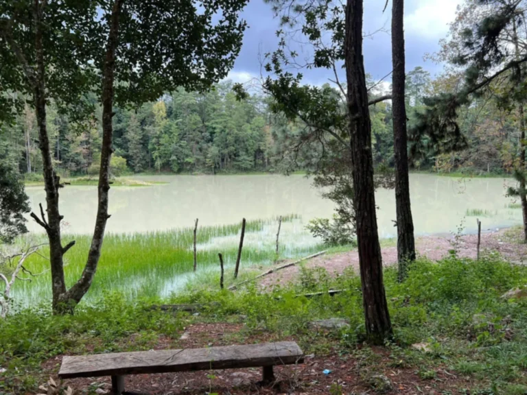 🌿 Terreno en Venta en Erandique, Lempira — Frente a la Laguna El Socorro