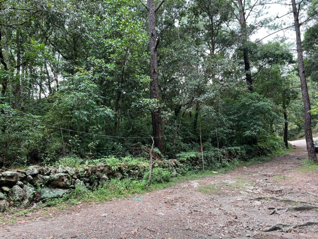 Venta de terrenos en lempira honduras, venta de terrenos en san juan intibuca, venta de terrenos en erandique lempira