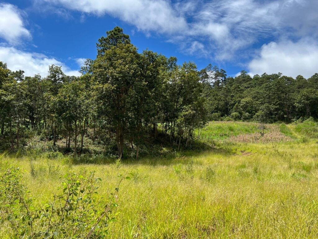 Yamaranguila Intibucá, venta de terrenos en Yamaranguila, Ecofincas del Cerrón, fincas en venta Intibucá, terrenos rurales en Yamaranguila, propiedades en La Esperanza Intibucá, comprar terreno en Yamaranguila, bienes raíces en Intibucá.