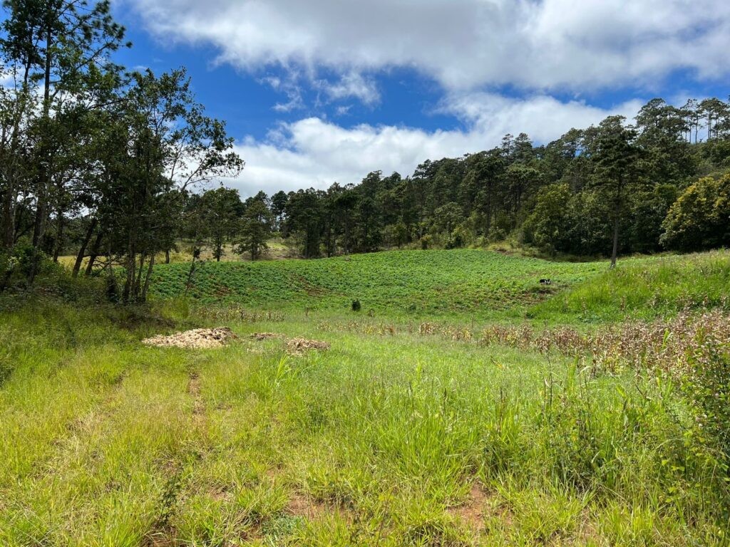 Yamaranguila Intibucá, venta de terrenos en Yamaranguila, Ecofincas del Cerrón, fincas en venta Intibucá, terrenos rurales en Yamaranguila, propiedades en La Esperanza Intibucá, comprar terreno en Yamaranguila, bienes raíces en Intibucá.