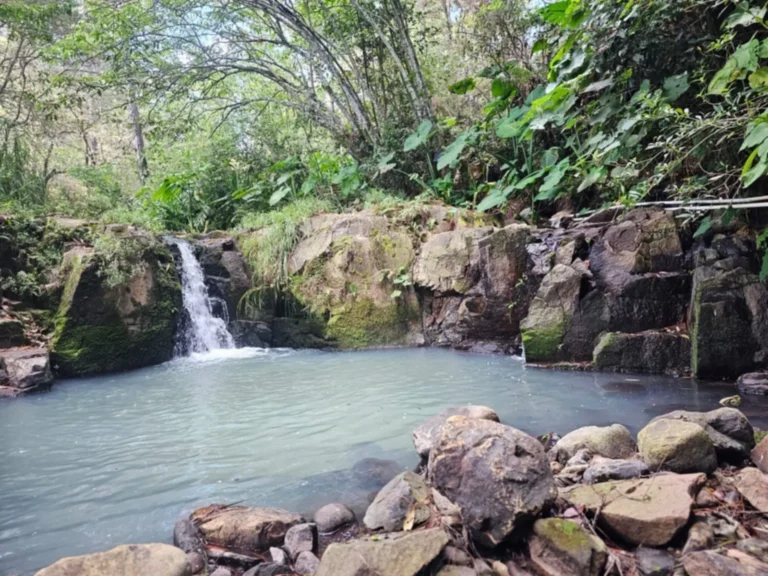 Venta de 22 Manzanas en Yamaranguila: Río, Cascada y Bosque a 1,700 msnm