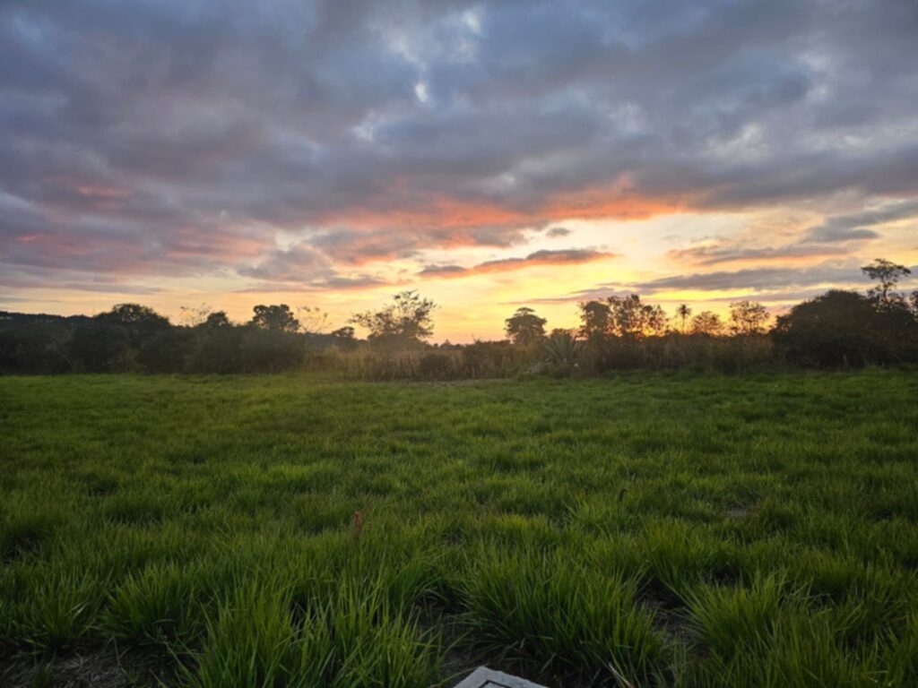 VENTA DE TERRENOS EN YAMARANGUILA INTIBUCÁ 2026