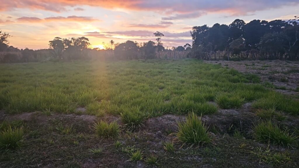 VENTA DE TERRENOS EN YAMARANGUILA INTIBUCÁ 2026