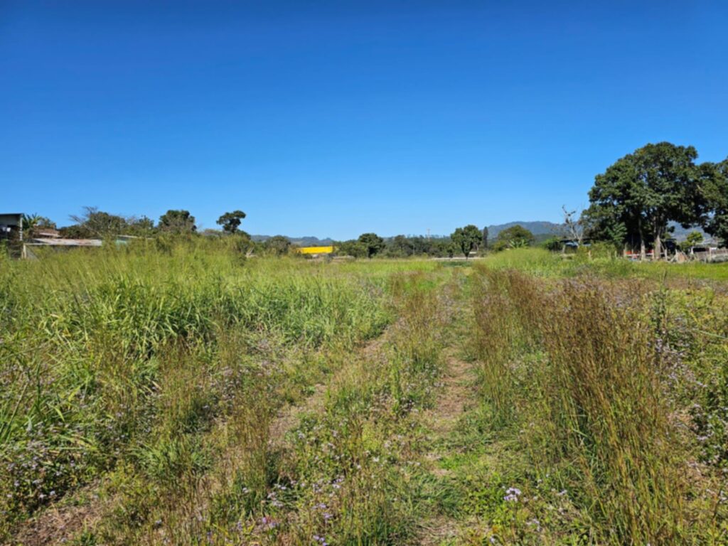 Terreno ubicada en Comayagua