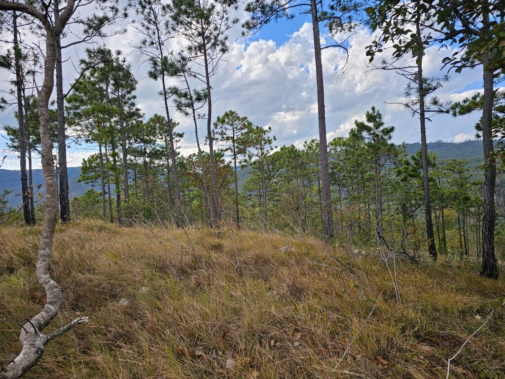 dVENTA DE TERRENOS EN LA ESPERANZA INTIBUCÁ 2026