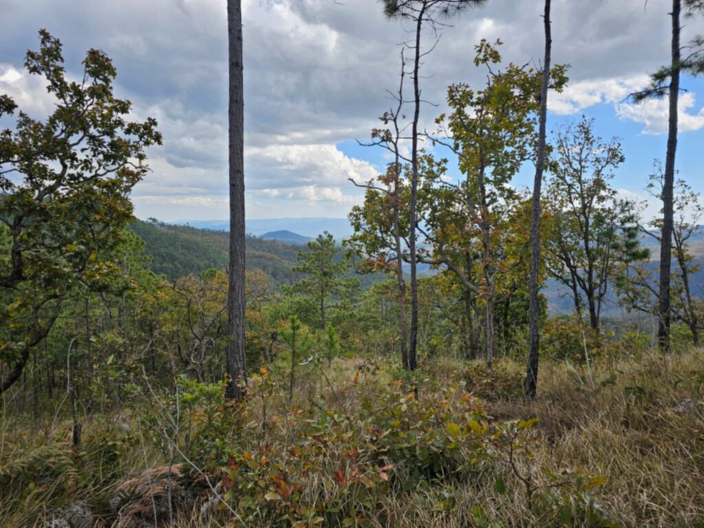 VENTA DE TERRENOS EN LA ESPERANZA INTIBUCÁ 2026