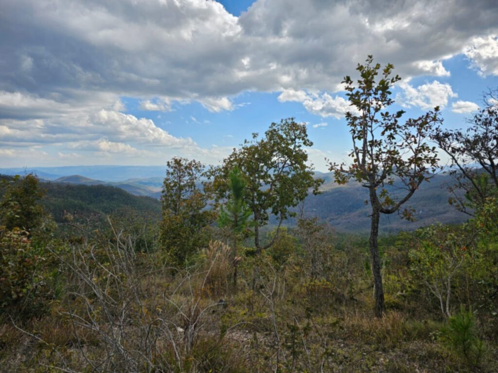 VENTA DE TERRENOS EN LA ESPERANZA INTIBUCÁ 2026