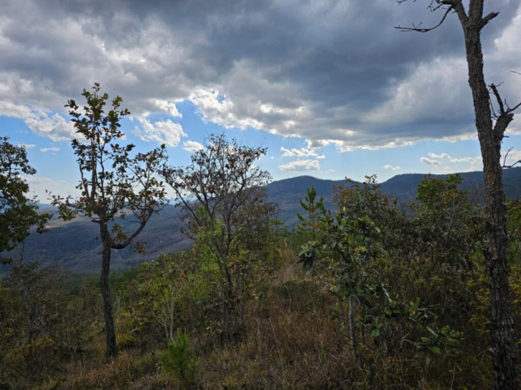 VENTA DE TERRENOS EN LA ESPERANZA INTIBUCÁ 2026pm