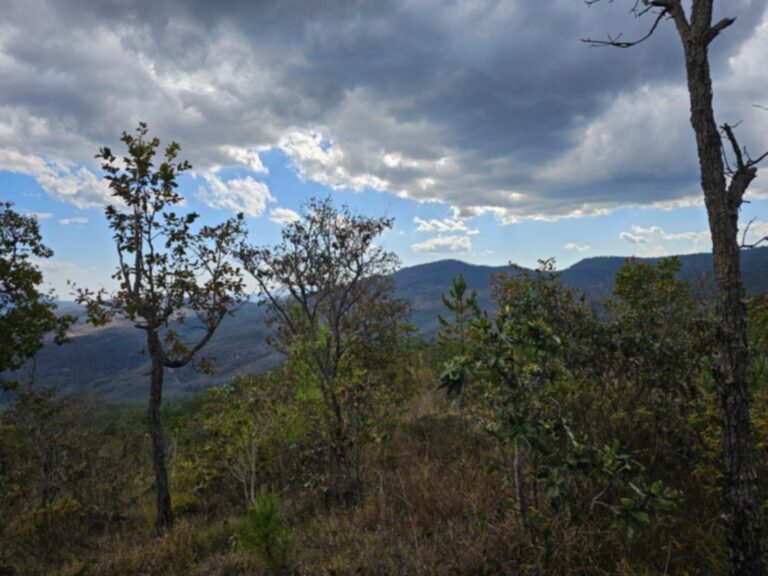 Oportunidad de Inversión: 20 Manzanas con Vistas Panorámicas en El Pelón, La Esperanza