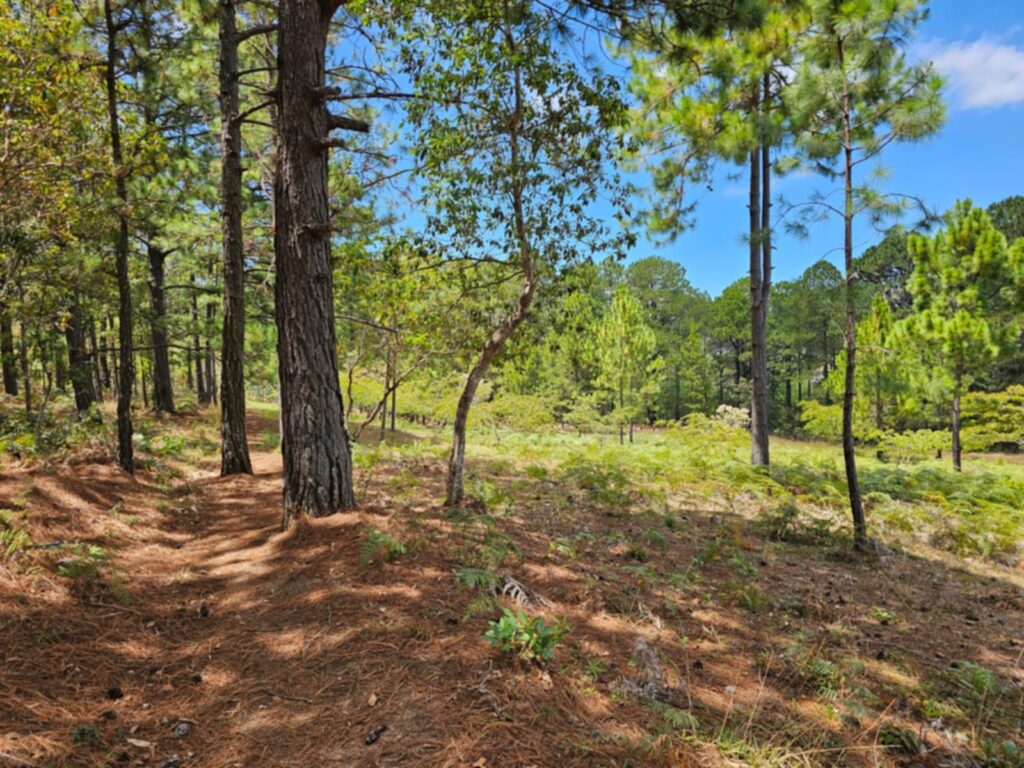 Barrio el Tablón, Yamaranguila, Intibucá, Honduras
