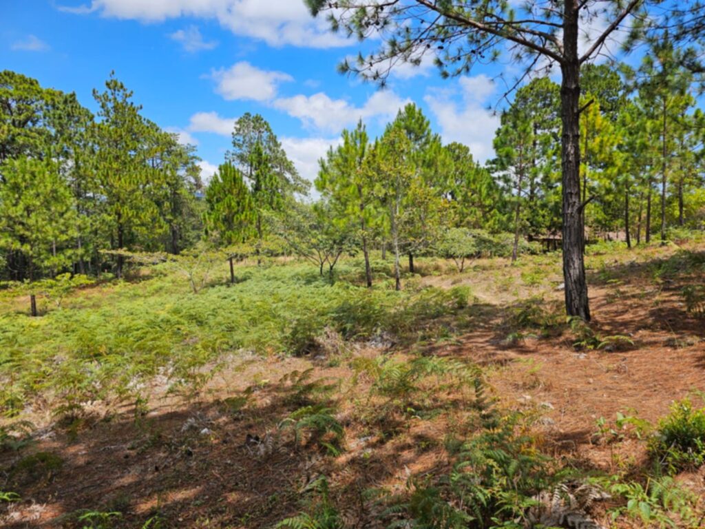 Barrio el Tablón, Yamaranguila, Intibucá, Honduras