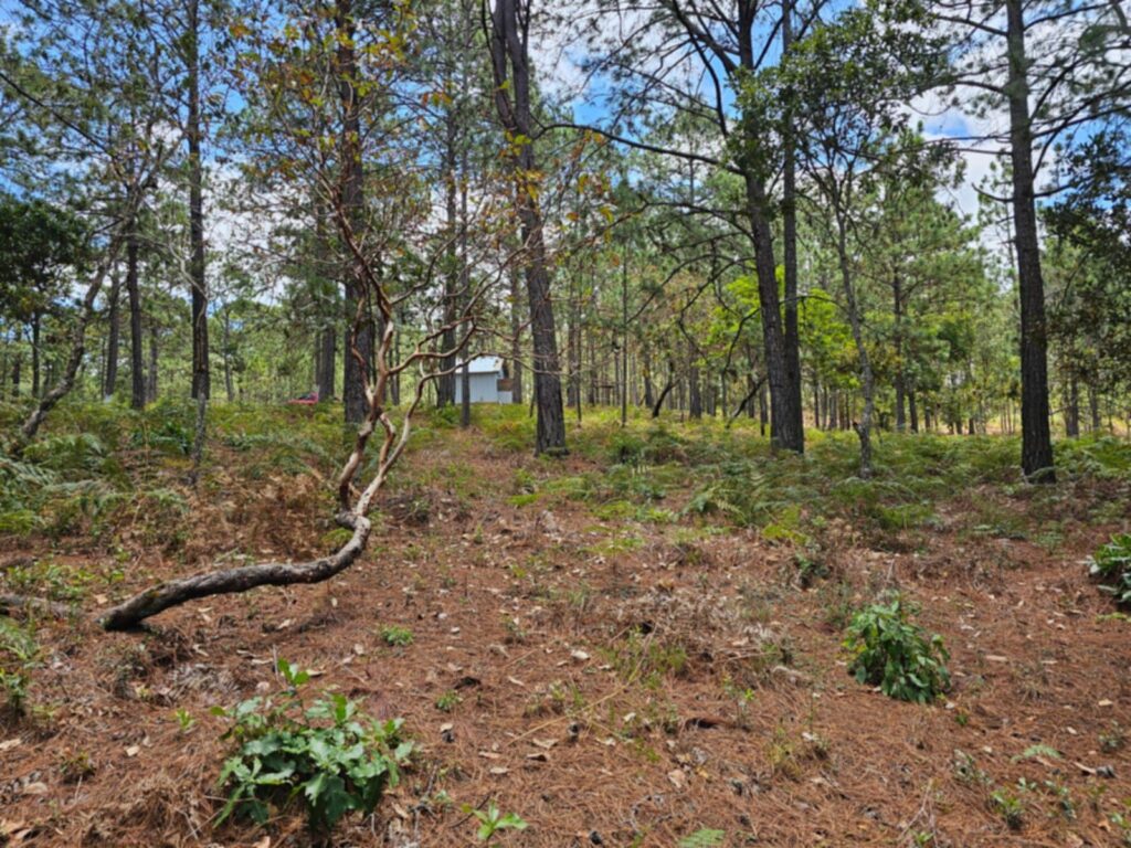 Barrio el Tablón, Yamaranguila, Intibucá, Honduras