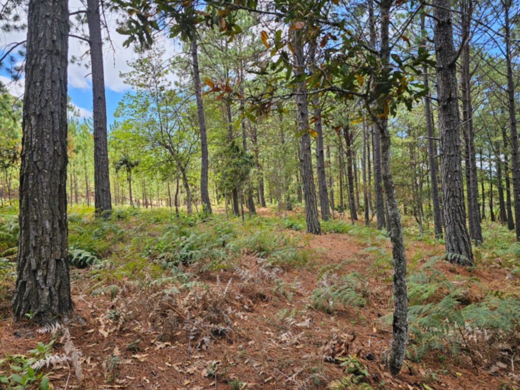Barrio el Tablón, Yamaranguila, Intibucá, Honduras