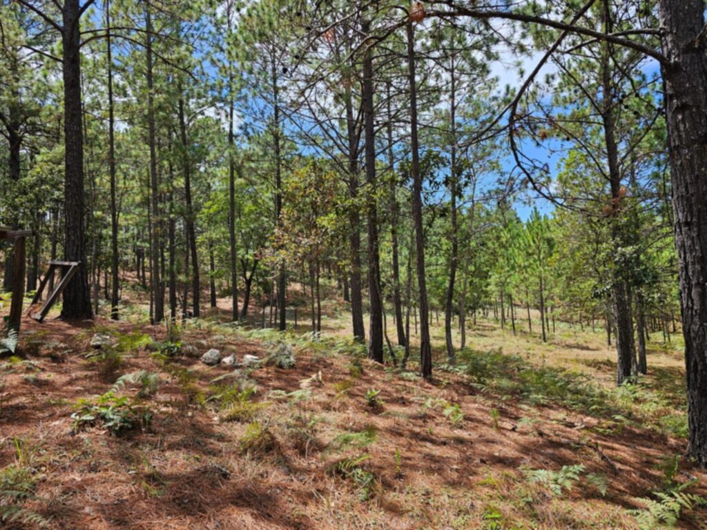 Barrio el Tablón, Yamaranguila, Intibucá, Honduras