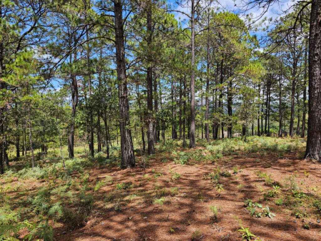 Barrio el Tablón, Yamaranguila, Intibucá, Honduras