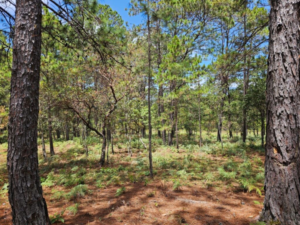 Barrio el Tablón, Yamaranguila, Intibucá, Honduras