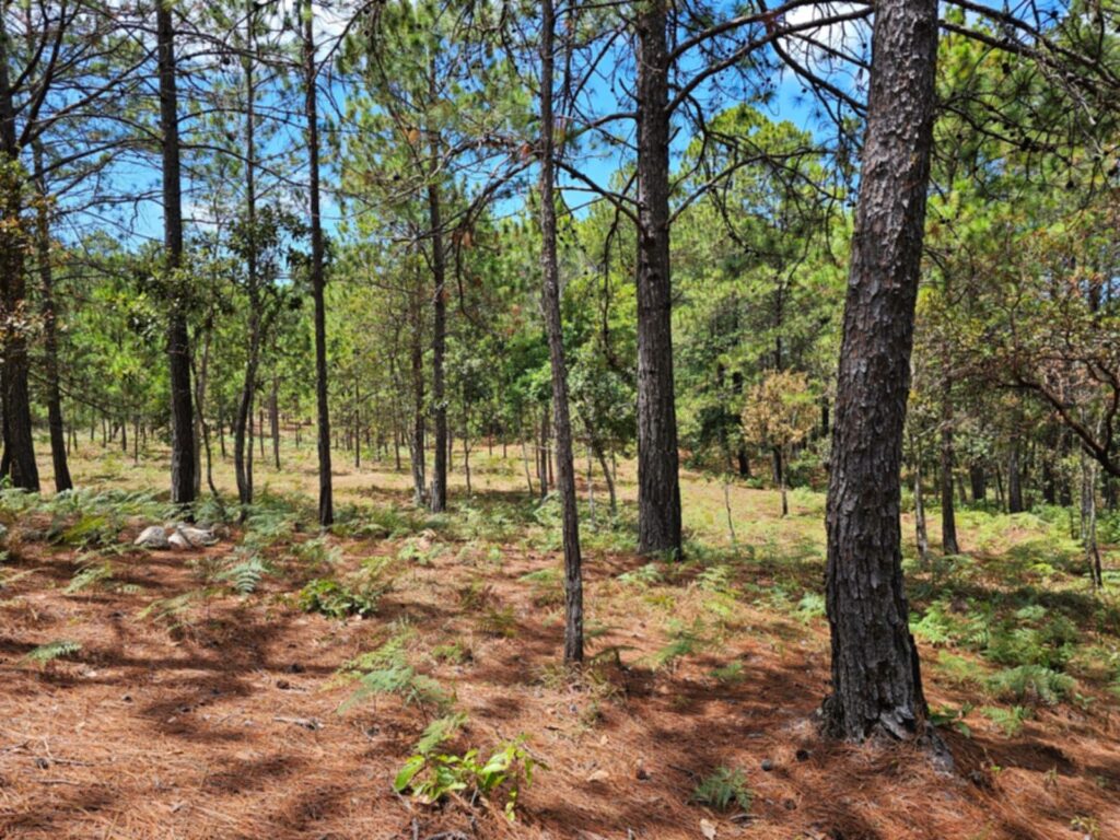 Barrio el Tablón, Yamaranguila, Intibucá, Honduras