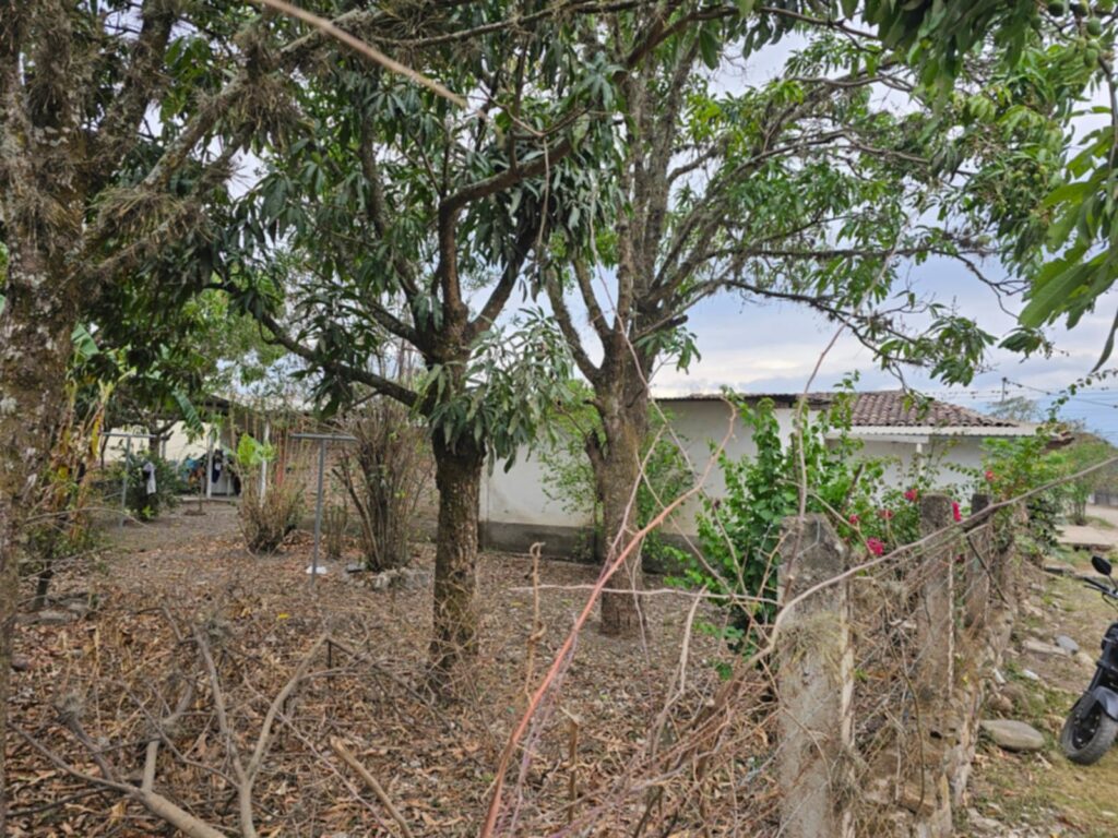 "venta-propiedad-esquina-jesus-de-otoro-intibuca-ocarpa"