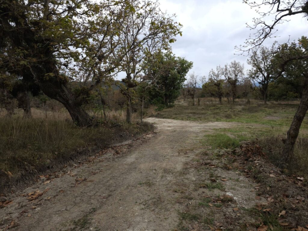 "venta-manzana-bosque-la-esperanza-intibuca-precio-bajo"