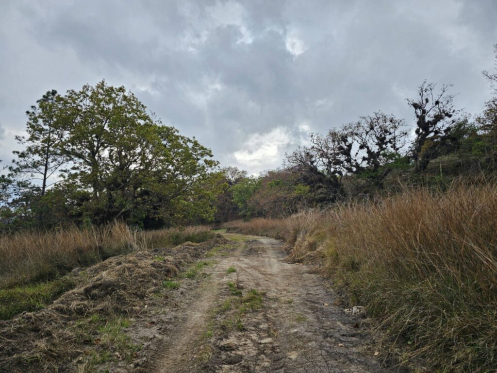 "venta-manzana-bosque-la-esperanza-intibuca-precio-bajo"