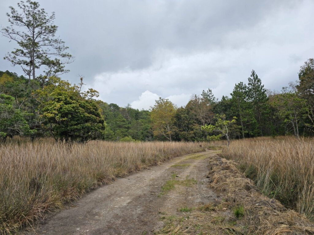 "venta-manzana-bosque-la-esperanza-intibuca-precio-bajo"