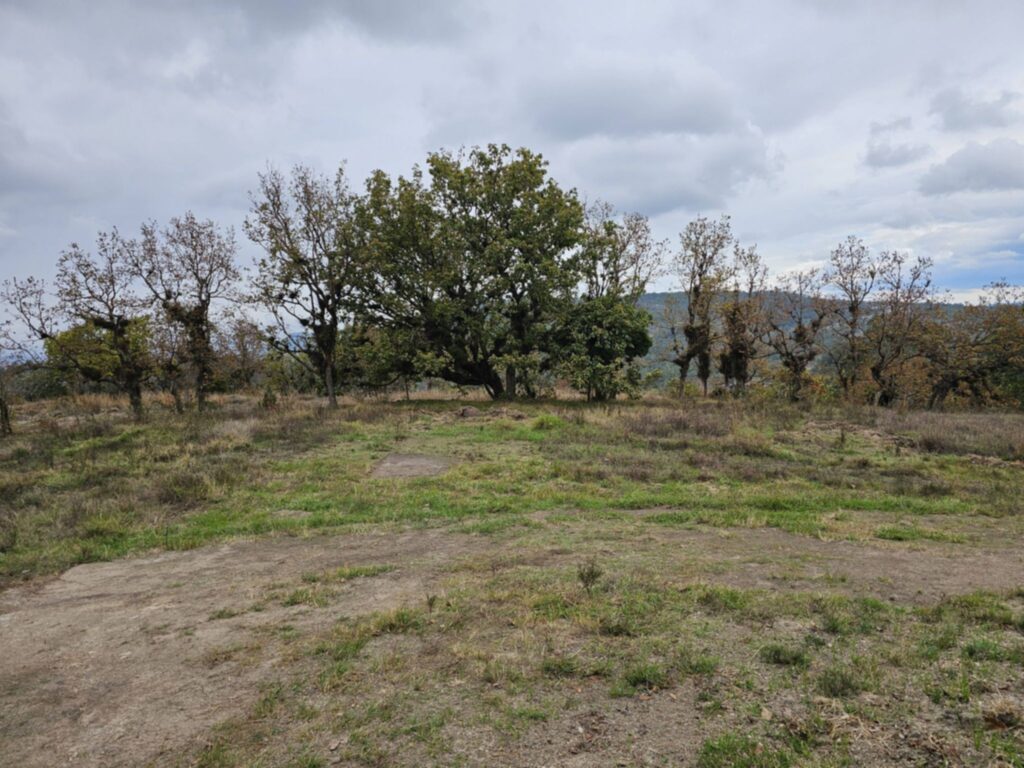 "venta-manzana-bosque-la-esperanza-intibuca-precio-bajo"