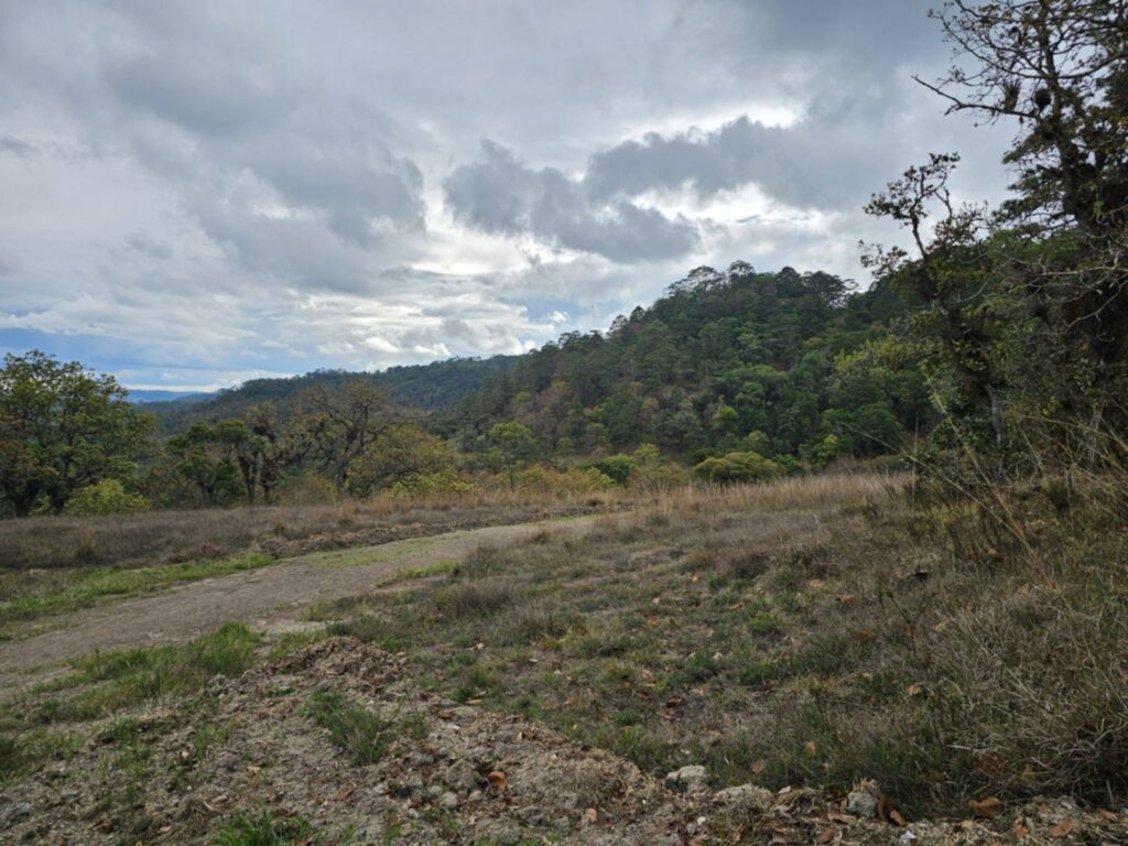 "venta-manzana-bosque-la-esperanza-intibuca-precio-bajo"