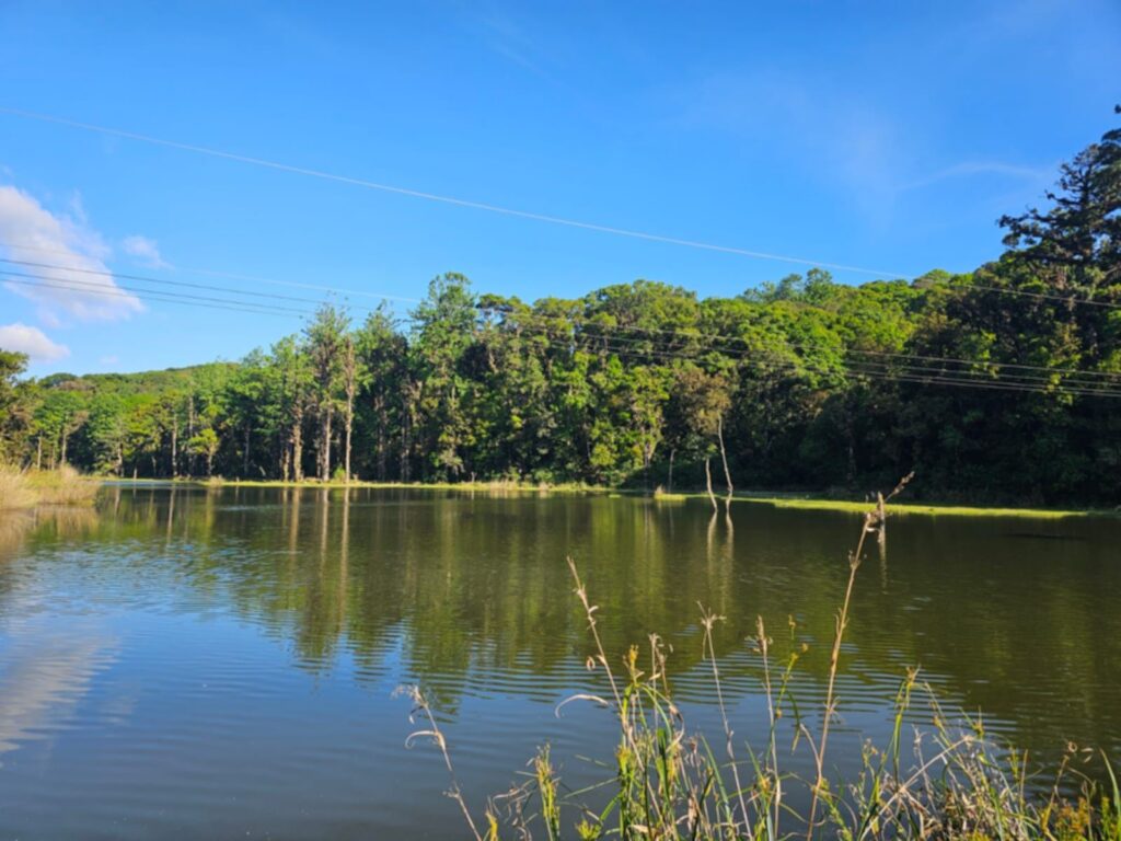 Laguna Madre Vieja, Intibuca, Intibuca